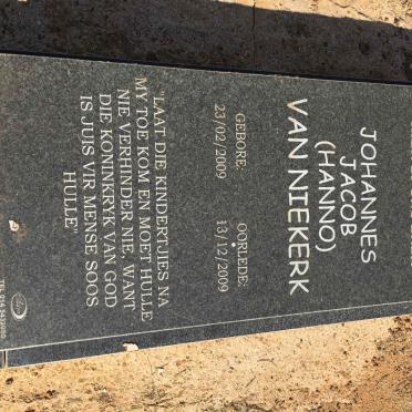 N -  Surnames starting with the letter N