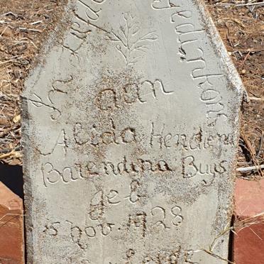 BUYS Alida Hendiena Barendina 1928-1933