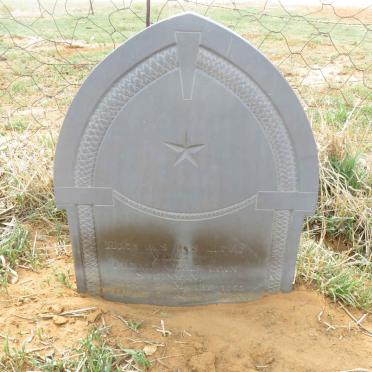 STEINMAN Pieter Christiaan 1865-1936