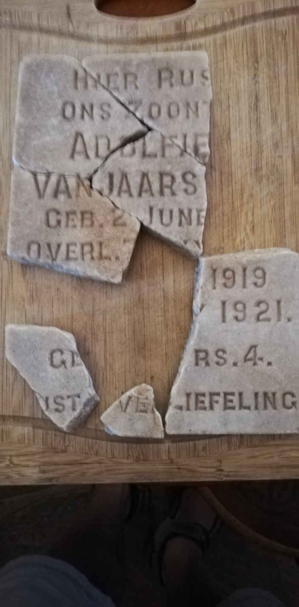 JAARSVELD Adolfie, van 1919-1921