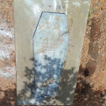 DUMINY Anna Cathrina Salomiena 1909-1910