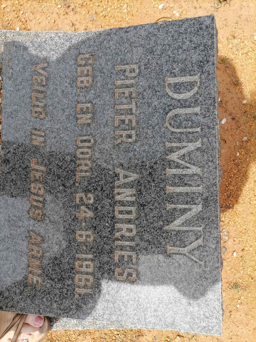 DUMINY Pieter Andries 1961-1961