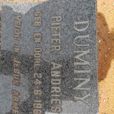 DUMINY Pieter Andries 1961-1961