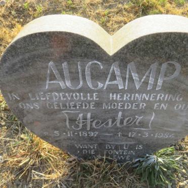 A - Surnames :: Vanne - A