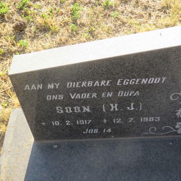 BRUIN H.J., de 1917-1983