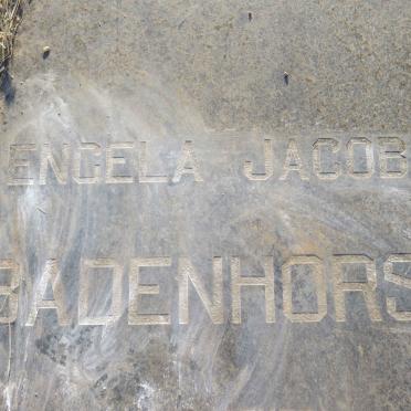 BADENHORST Engela Jacoba 1891-1982