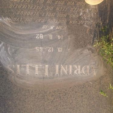 ELLIS Adrini 1965-1982