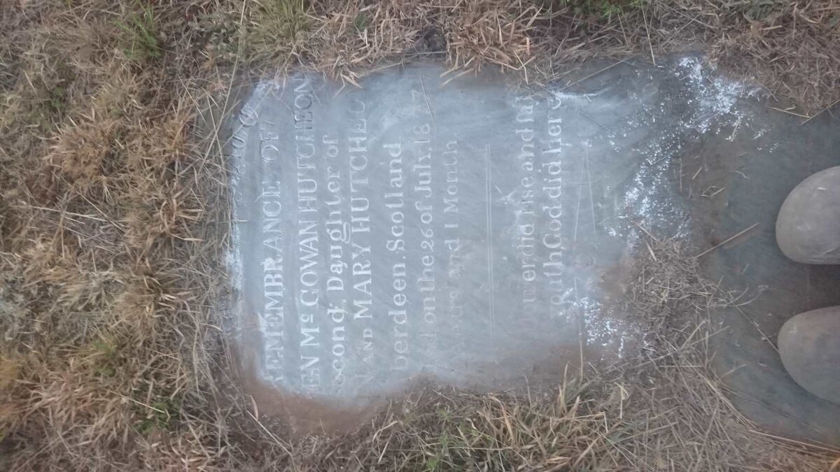 HUTCHEON McGowan -18??