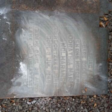 WOLMARANS Dorathia Maria nee COETZEE 1906-1948