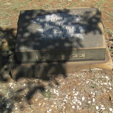 COETZEE Abel Daniel 1873-1921