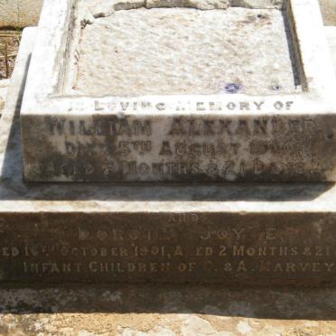 HARVEY William Alexander -1900 :: HARVEY Dorothy Joy E. -1901