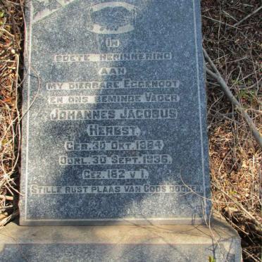 HERBST Johannes Jacobus 1884-1936