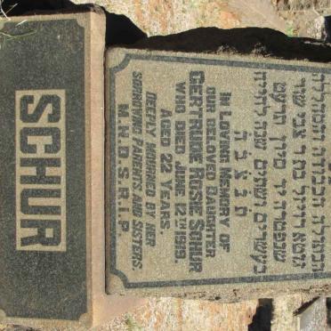 SCHUR Gertrude Rosie -1919