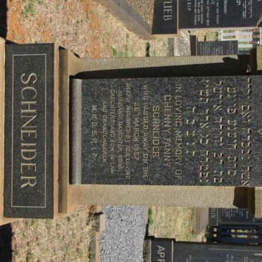 SCHNEIDER Chenny Fanny -1957