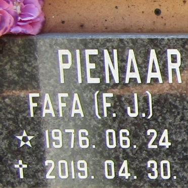 PIENAAR F. J. 1976-2019