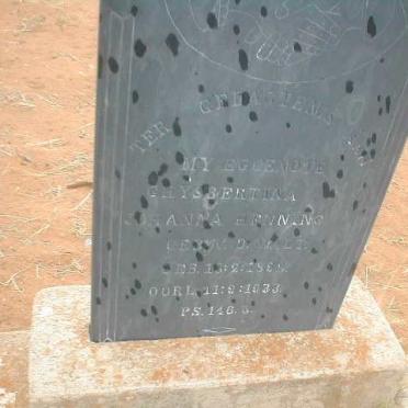 HENNING Ghysbertina Johanna nee VAN DER WALT 1889-1933