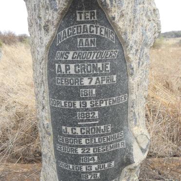 CRONJE A.P. 1811-1882 &amp; J.C. GELDENHUIS 1914-1878