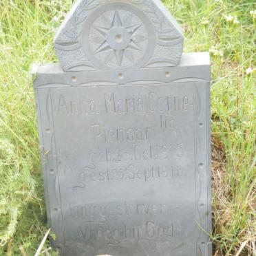 PIENAAR Anna Maria Cornelia 1915-1916