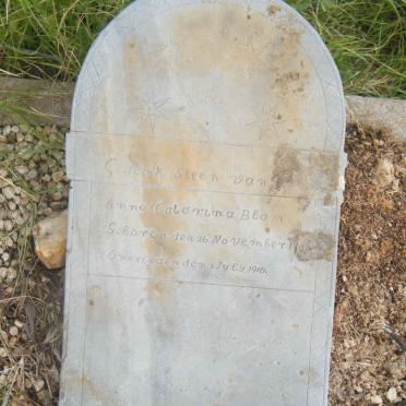 BLOM Anna Catarina 1909-1910