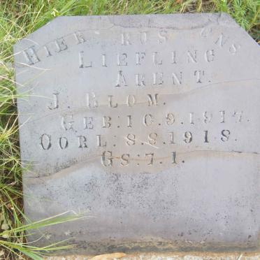 BLOM Arent J. 1917-1918