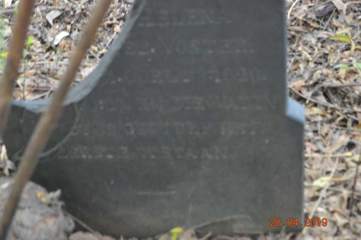 WALT Helena, van der nee VOSTER -1926