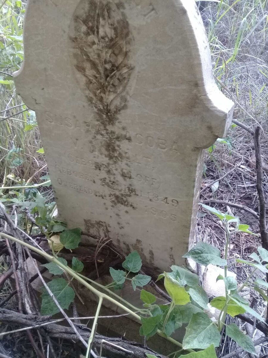 WALT Susara Jacoba, van der nee ELOFF 1849-1905