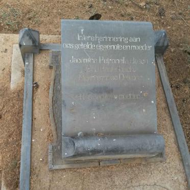 BOSCH Jacomina Petronella nee RAUTENBACH 1877-194?