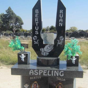 ASPELING Bertus 1965-2009 :: ASPELING Ruan 1991-2009