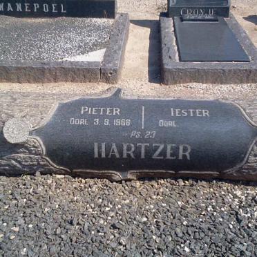 HARTZER Pieter -1966 &amp; Iester