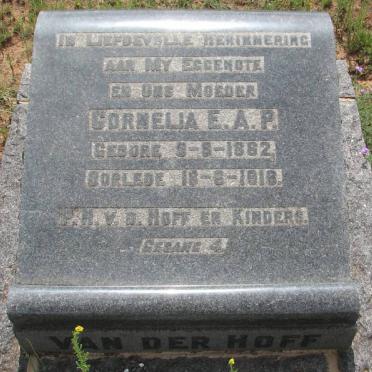 HOFF Cornelia E.A.P., van der 1862-1918