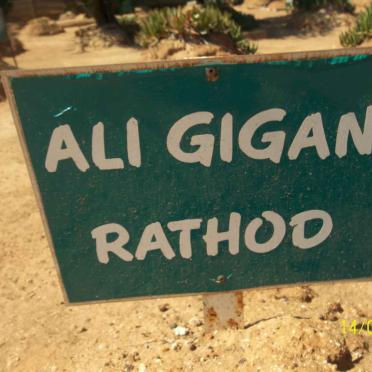 RATHOD Ali Gigan