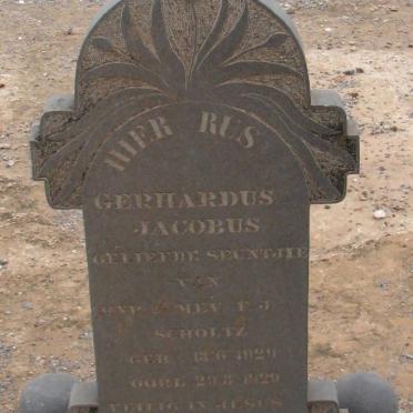 SCHOLTZ Gerhardus Jacobus 1929-1929