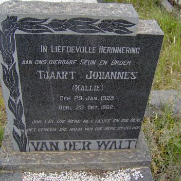 WALT Tjaart Johannes, van der 1925-1962