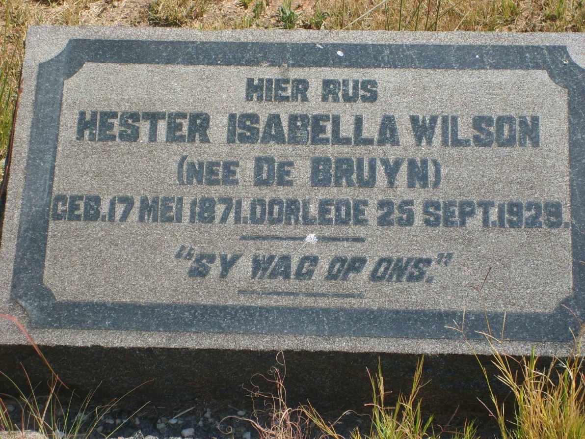 WILSON Hester Isabella nee DE BRUYN 1871-1928