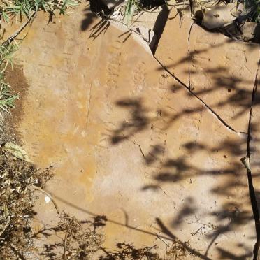 RO? ?endrika Jacoba Alberthina nee COETZEE