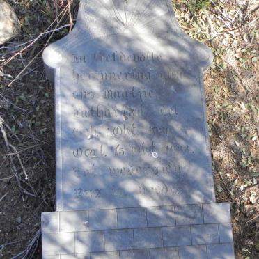 NEL Catharina 1930-1938