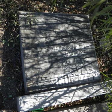 COETZEE Theunis Frederik Jacobus 1928-1991