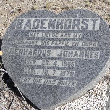 BADENHORST Gerhardus Johannes 1885-1970