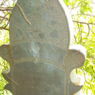 MOLLER Charls Abraham 1857-1927