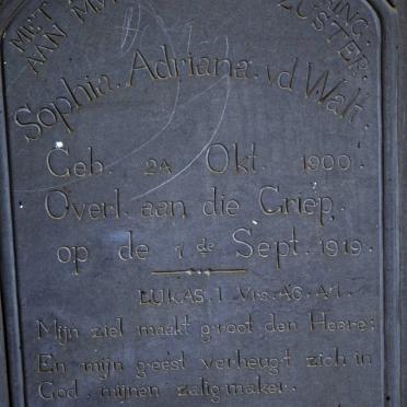 WALT Sophia Adriana, v.d. 1900-1919