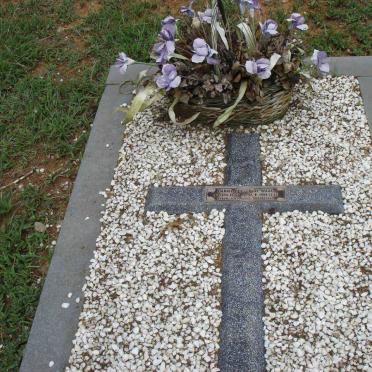 WAAL Daniel Roelof, de 198?-1999