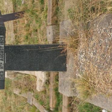 GOODYEAR Annie Cathrine 1858-1925 :: GOODYEAR Maud Ann 1887-1969