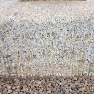 HAYES William Andrew 1861-1909