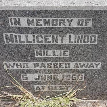 LINDO Millicent -1966