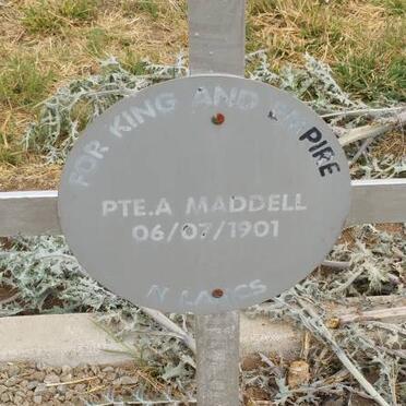 MADDELL A. -1901