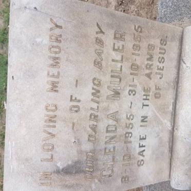 MULLER Glenda 1955-1955