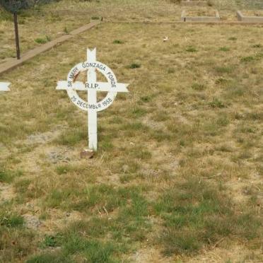 MAHER Mary de Sales -1958 :: FORDE Mary Gonzaga -1958 :: McGLYNN Mary Brendan -1962