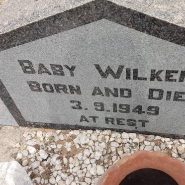 WILKENS Baby 1949-1949
