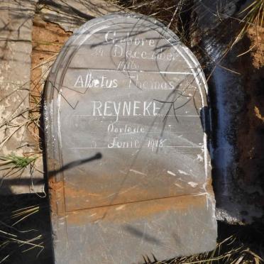 REYNEKE Albetus Thomas 1916-1918