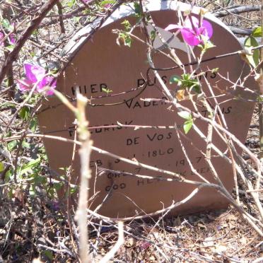 VOS Fredrick Petrus, de 1860-1947